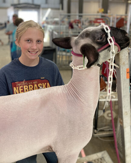 Sheep 2.jpg